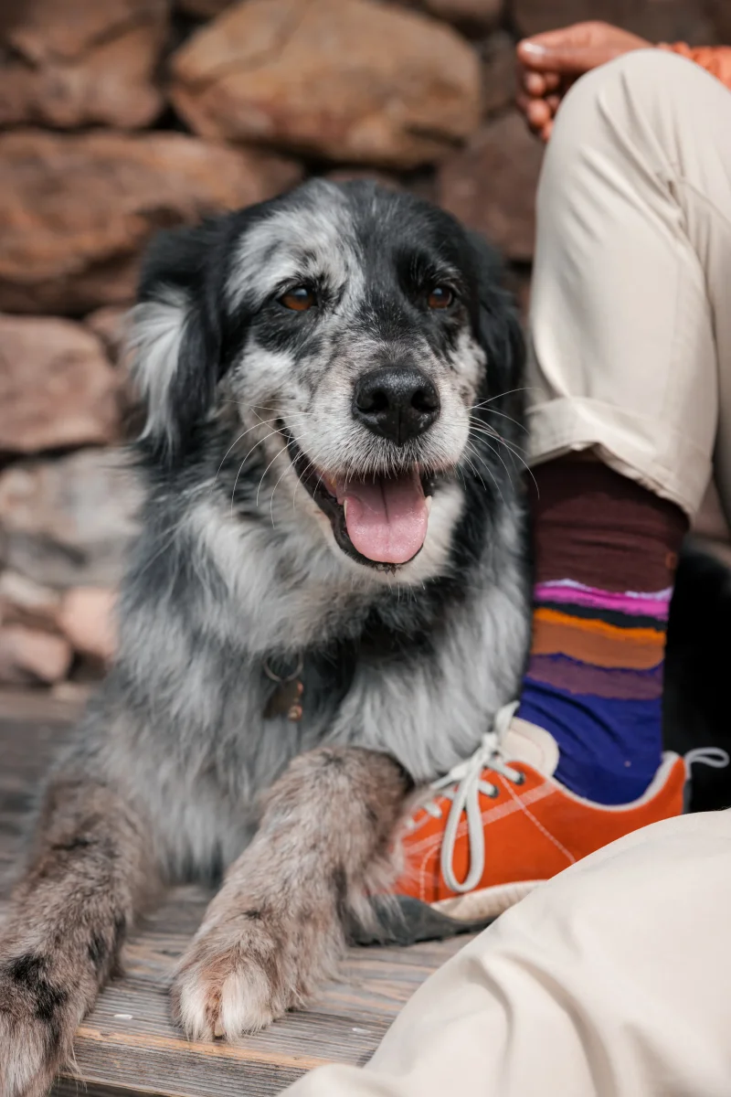 Reactive Mountain 6300 | Embrace your soul. Calzini tecnici in lana vergine merino fine - immagine 8