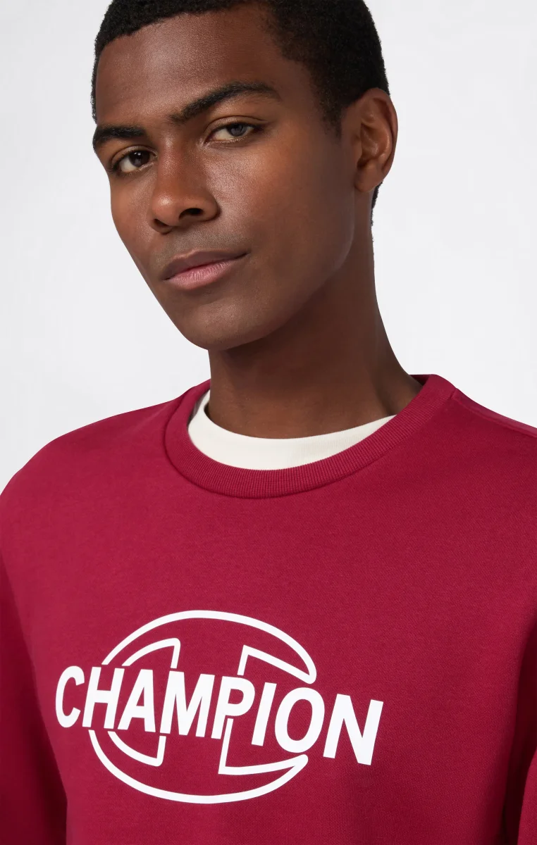 Men’s Fleece Crewneck Sweatshirt with Graphics - immagine 4