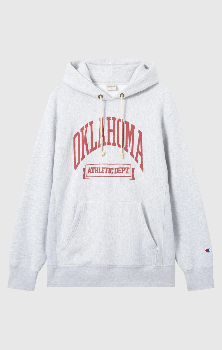 Heavyweight Men's Hooded Sweatshirt with Brushed Interior and Print Reverse Weave - immagine 6