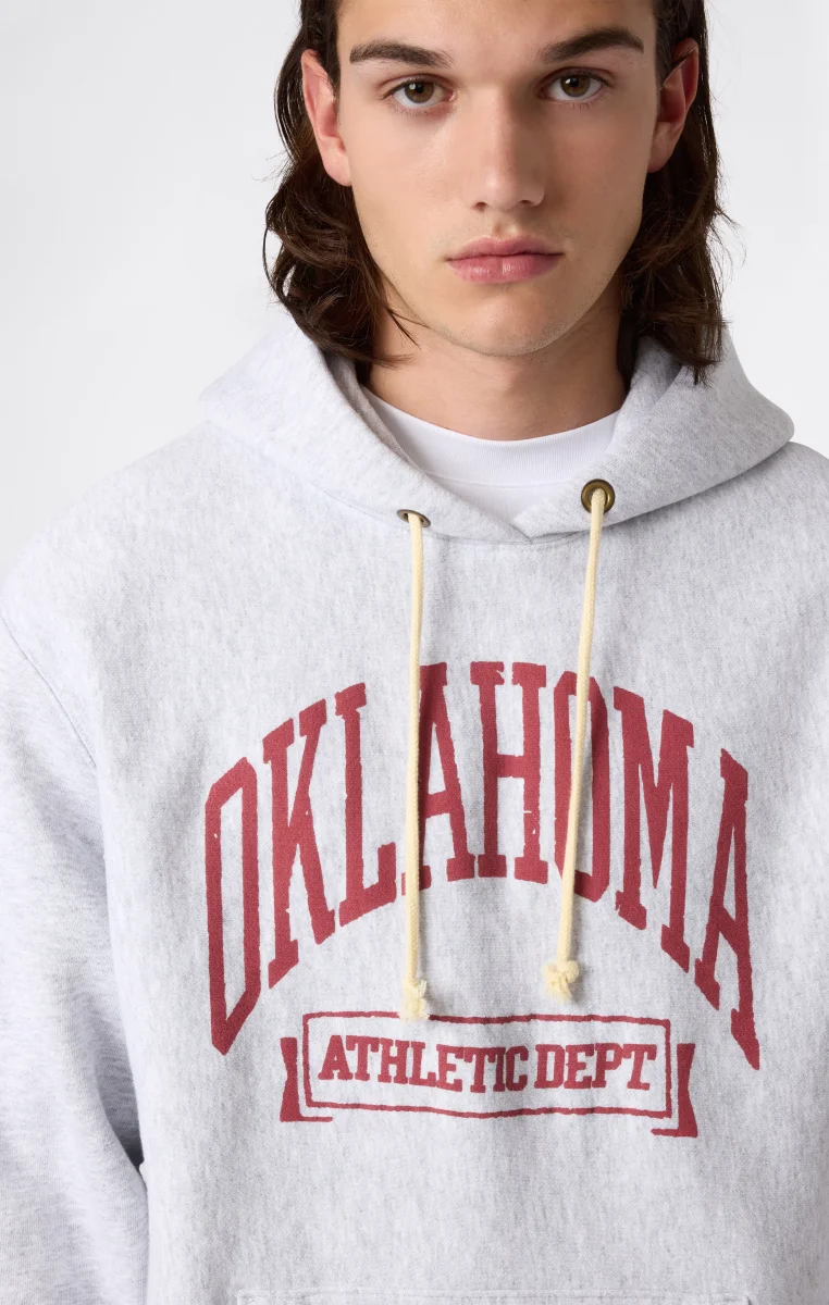 Heavyweight Men's Hooded Sweatshirt with Brushed Interior and Print Reverse Weave - immagine 3