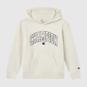 Boys' Fleece Hooded Sweatshirt