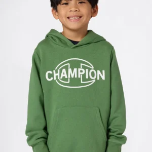 Boys' Fleece Hooded Sweatshirt Graphic