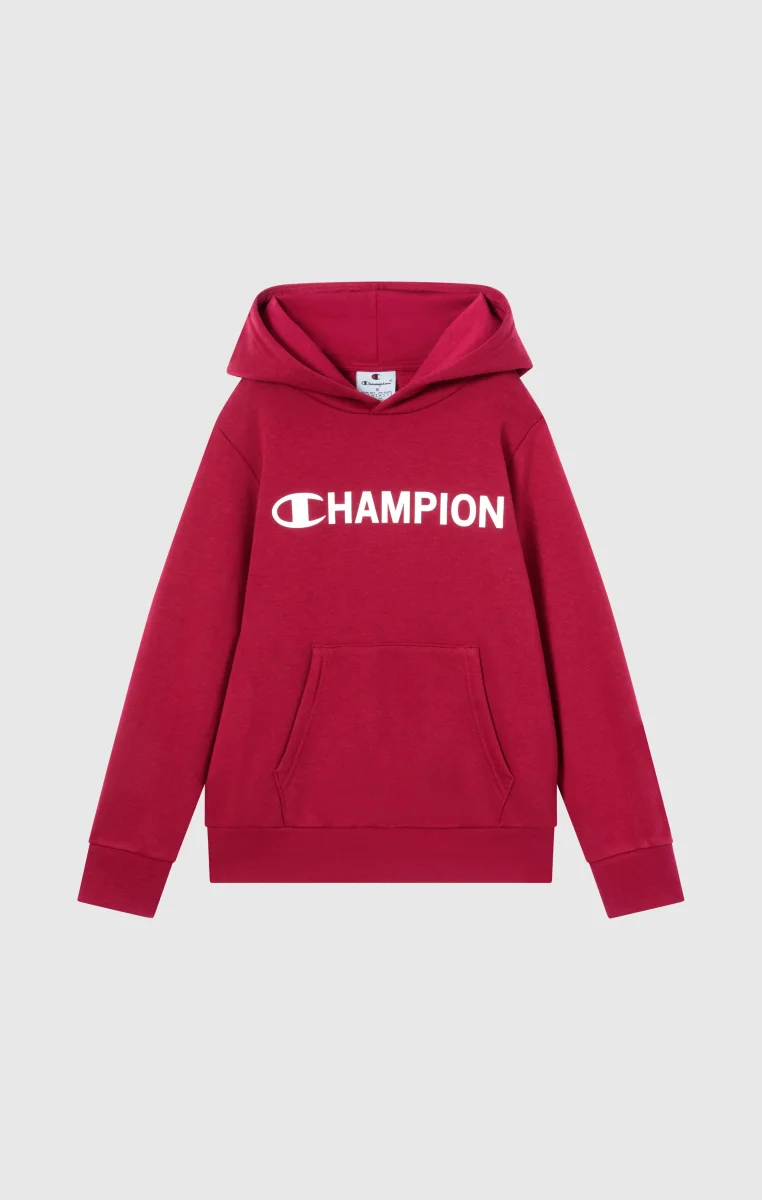 Boys' Fleece Hooded Sweatshirt Graphic - immagine 5