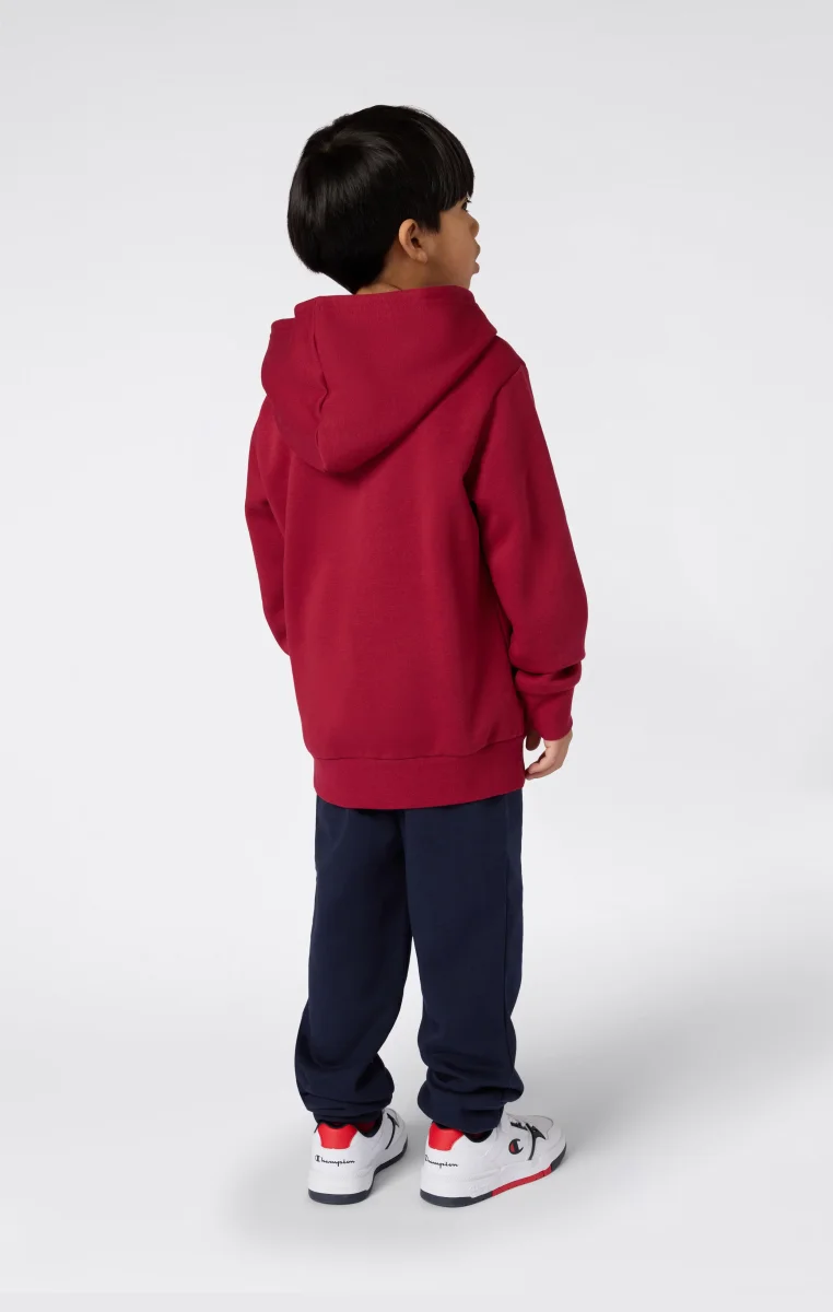 Boys' Fleece Hooded Sweatshirt Graphic - immagine 4