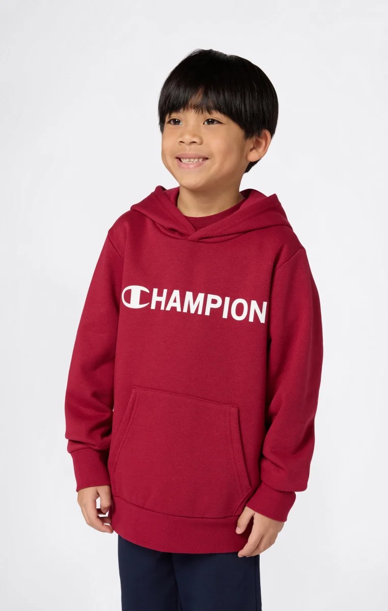 Boys' Fleece Hooded Sweatshirt Graphic