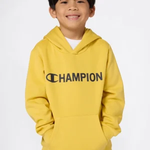 Boys' Fleece Hooded Sweatshirt Graphic