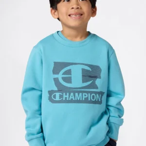 Boys' Fleece Crewneck Sweatshirt Graphic