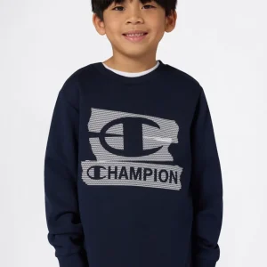 Boys' Fleece Crewneck Sweatshirt Graphic