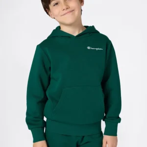 Boys’ Fleece Hoodie with Small Embroidered Logo Icons
