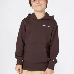 Boys’ Fleece Hoodie with Small Embroidered Logo Icons