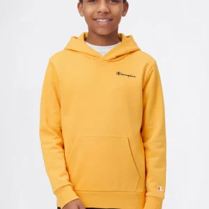 Boys’ Lightweight Hooded Sweatshirt Icons