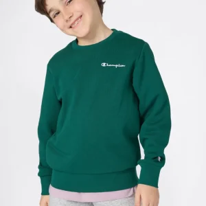 Boys’ Fleece Crewneck Sweatshirt Icons