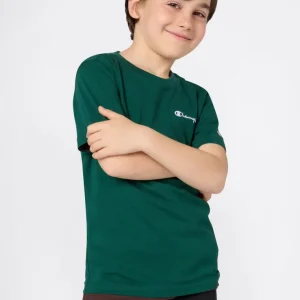 Boys’ Crewneck Small Script Logo T-Shirt Icons