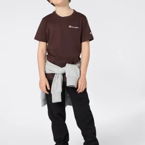 Boys’ Crewneck Small Script Logo T-Shirt Icons