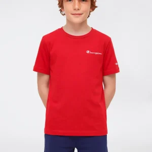 Boys’ Crewneck Small Script Logo T-Shirt Icons