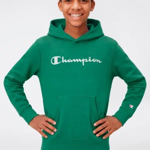 Boys’ Lightweight Hooded Sweatshirt with Maxi Printed Logo