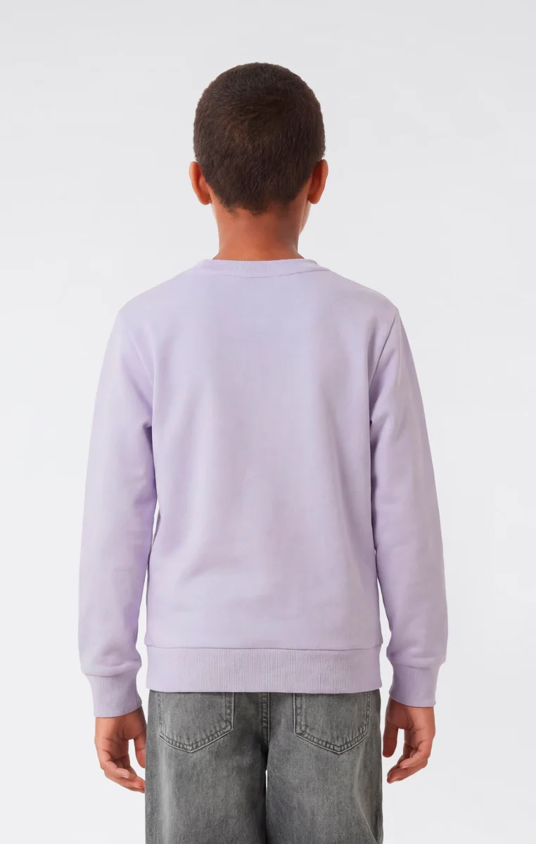 Boys’ Washed Effect Crewneck Sweatshirt Icons - immagine 4