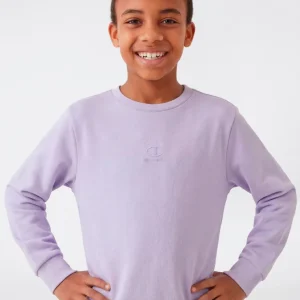 Boys’ Washed Effect Crewneck Sweatshirt Icons