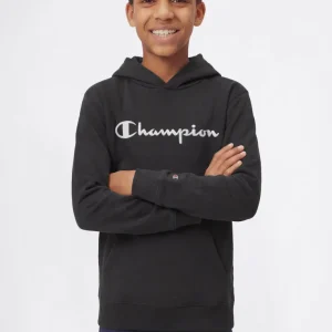 Boys’ Lightweight Hooded Sweatshirt with Tonal Embroidered Maxi Logo Icons