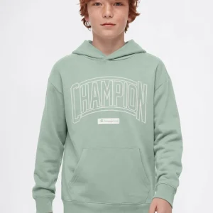 Boys’ Hooded Sweatshirt with Puff Print