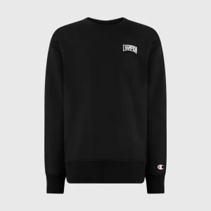 Boys’ Crewneck Sweatshirt with Puff Print