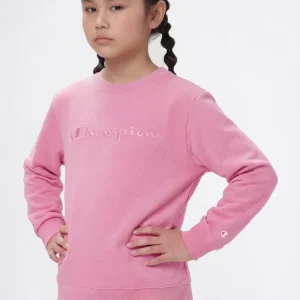 Girls’ Lightweight Crewneck Sweatshirt with Tonal Embroidered Maxi Logo Icons