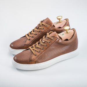 Sneakers Limited Edition